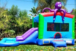 Octopus Bounce House Combo