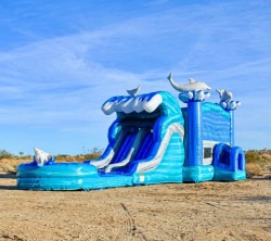 Dolphin Bounce House Combo