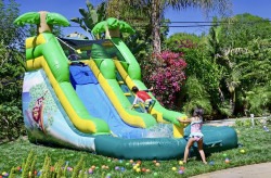 Safari (12 Ft) Waterslide