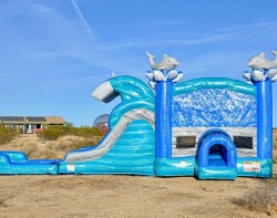 IMG 0500 1740083485 Dolphin Bounce House Combo