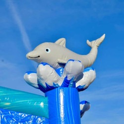 IMG 0501 1740083485 Dolphin Bounce House Combo