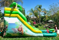 IMG 0519 1740083947 Safari (12 Ft) Waterslide