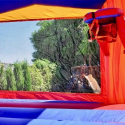 IMG 0522 1740083991 Superhero Bounce House Combo