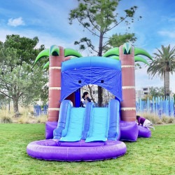 IMG 1053 1742690675 Enchanted Forest Bounce House Combo