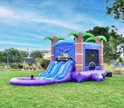 Enchanted Forest Bounce House Combo