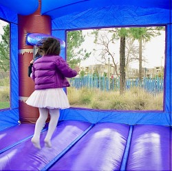 IMG 1056 1742690676 Enchanted Forest Bounce House Combo