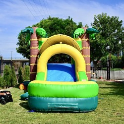 IMG 1560 1745076222 Tropical Aloha Bounce House Combo