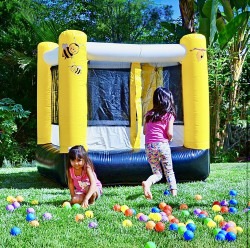 IMG 1653 1745082985 Busy Bee (7x6) Bounce House