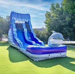 IMG 2223 1747842566 Dolphin (16 Ft) Waterslide