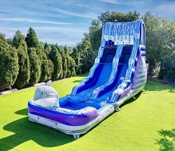 Dolphin (16 Ft) Waterslide