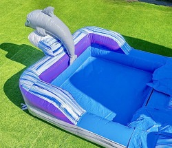 IMG 2225 1747842567 Dolphin (16 Ft) Waterslide