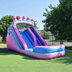 Princess Tiara (14 Ft) Waterslide