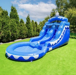 Dolphin (13 Ft) Waterslide
