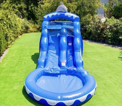 IMG 5205 1757739180 Dolphin (13 Ft) Waterslide