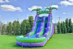 IMG 5291 1758052315 Purple Tropical (16 Ft) Waterslide