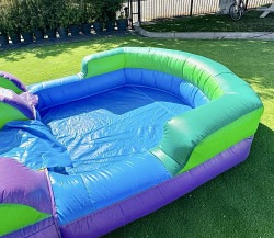 IMG 5292 1758052315 Purple Tropical (16 Ft) Waterslide