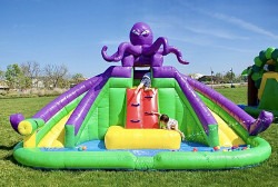 Octopus (10 Ft) Dual Lane Waterslide
