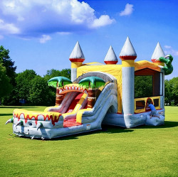 IMG 0413 1761746192 T-Rex Bounce House Combo