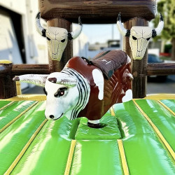 IMG 1221 1764889567 1 Mechanical Bull