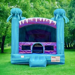 IMG 2134 1768438471 1 Electric (13x13) Bounce House