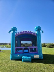 IMG 2165 1768590620 Electric (13x13) Bounce House