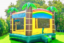 IMG 8419 1731347370 Safari (14x14) Bounce House