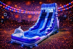 Dolphin (16 Ft) Waterslide