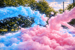 Foam Cannon (Gender Reveal)