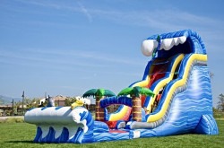 IMG 3569 1773706219 Shark Sighted (24 Ft) Waterslide