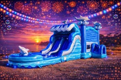 Dolphin Bounce House Combo