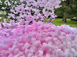 IMG 4346 1776294715 Foam Cannon (Gender Reveal)