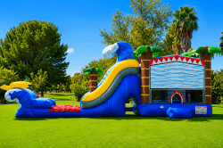 Shark Bounce House Combo