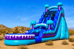 Electric (19 Ft) Waterslide