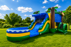 Jaguar Bounce House Combo