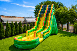Amazon (19 Ft) Waterslide