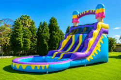 Ice Pops (16 Ft) Dual Lane Waterslide