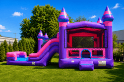 Purplish Bounce House Combo