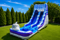 Dolphin (16 Ft) Waterslide