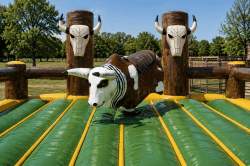 Mechanical Bull