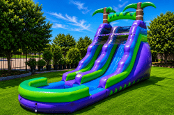 Purple Tropical (16 Ft) Waterslide