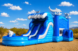 Dolphin Bounce House Combo