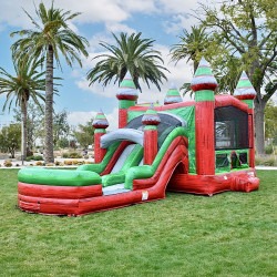 IMG 2275 1768954463 Watermelon Wonder Bounce House Combo