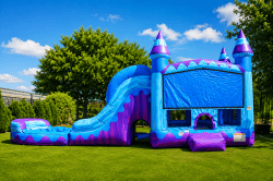 Fantastic Bounce House Combo