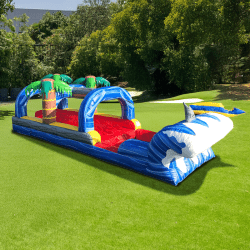 IMG 3565 1782412353 Shark Sighted Slip N' Slide