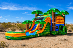 Cali Palms Bounce House Combo