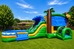 Jaguar Bounce House Combo