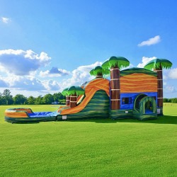 IMG 6901 1785512716 Cali Palms Bounce House Combo