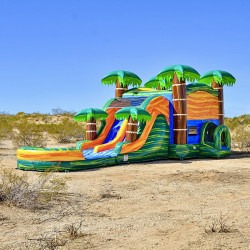 IMG 6902 1785512716 Cali Palms Bounce House Combo