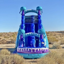 IMG 6905 1785513989 Electric (19 Ft) Waterslide