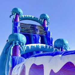 IMG 6906 1785513989 Electric (19 Ft) Waterslide